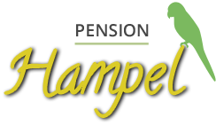 Pension Hampel im Sauerland in Schmallenberg-Nordenau